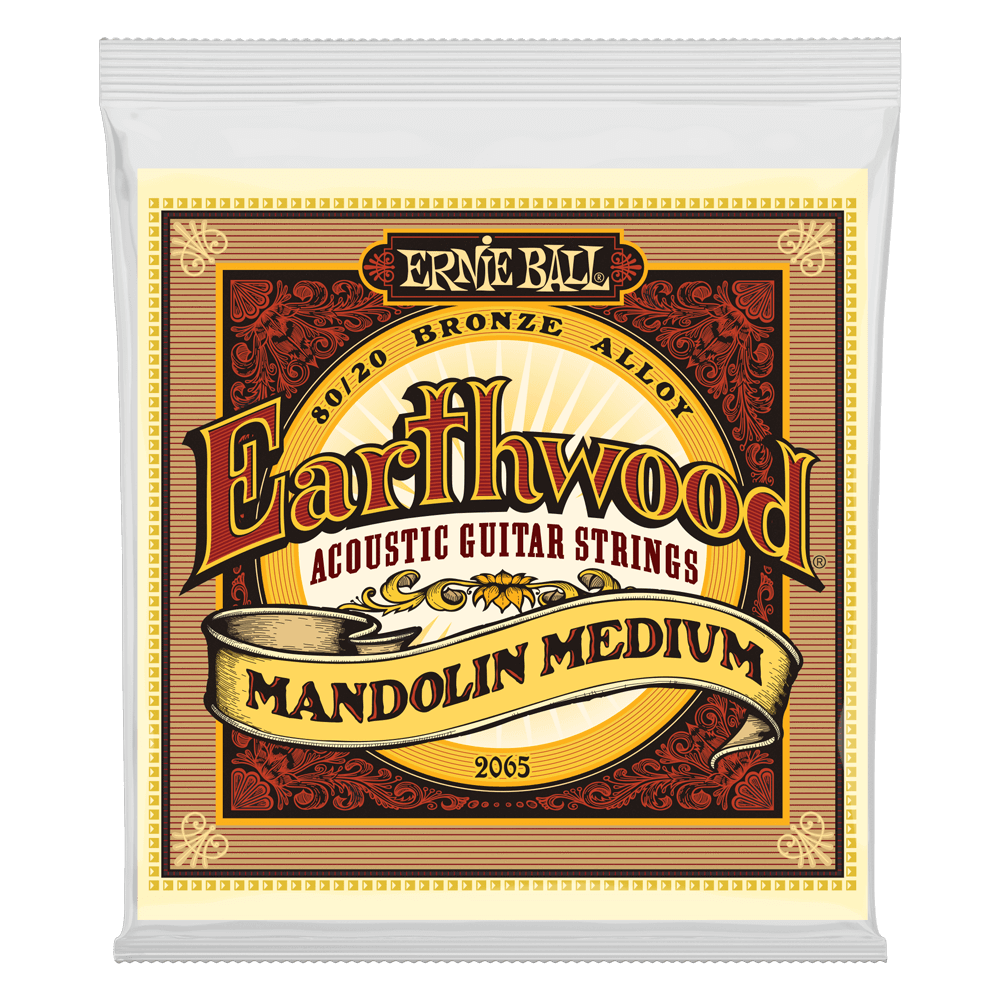 Ernie Ball 80/20 Bronze Mandolin Strings Strings Medium CB Music Centre Ernie Ball